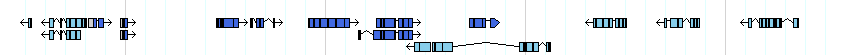 genes detail