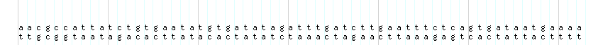 DNA/GC_Content detail