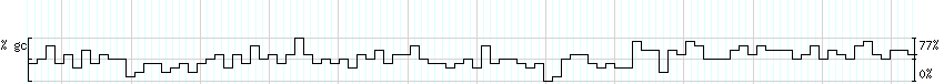 DNA/GC_Content detail