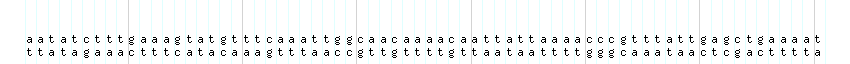 DNA/GC_Content detail