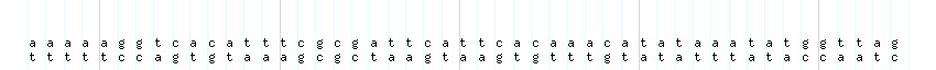 DNA/GC_Content detail
