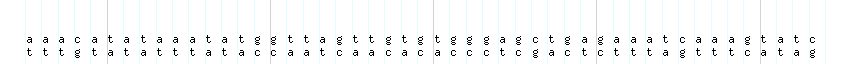 DNA/GC_Content detail