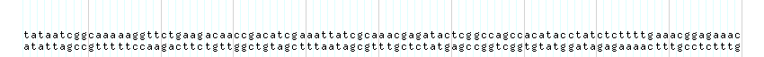 DNA/GC_Content detail