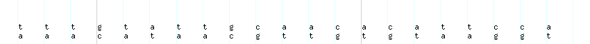 DNA/GC_Content detail