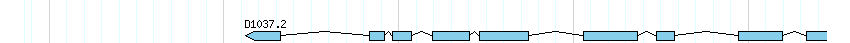 genes detail