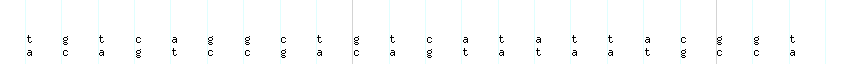 DNA/GC_Content detail
