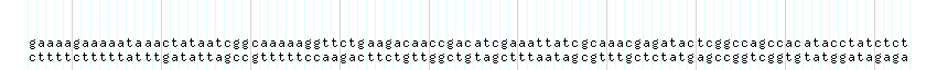 DNA/GC_Content detail