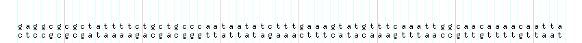 DNA/GC_Content detail