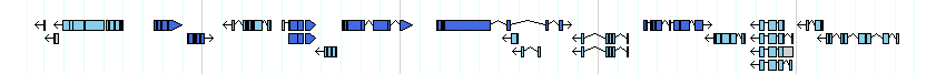 genes detail