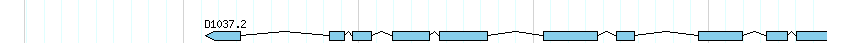genes detail