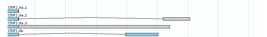 genes detail