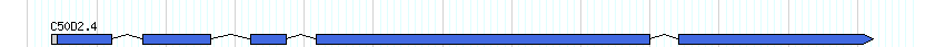 genes detail