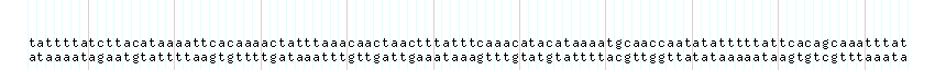 DNA/GC_Content detail