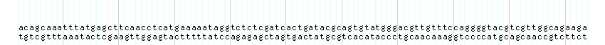 DNA/GC_Content detail