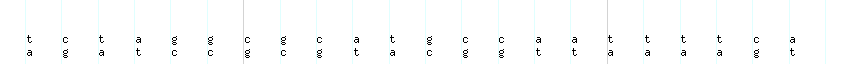 DNA/GC_Content detail