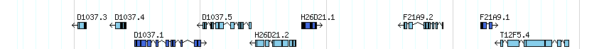 genes detail
