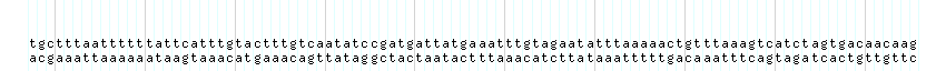 DNA/GC_Content detail