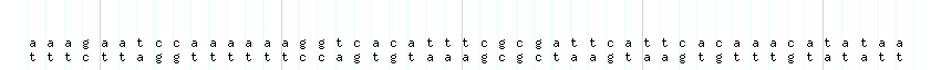 DNA/GC_Content detail