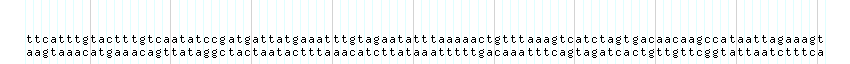 DNA/GC_Content detail