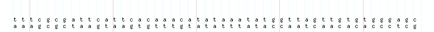 DNA/GC_Content detail