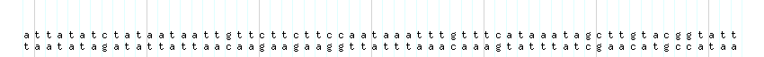 DNA/GC_Content detail