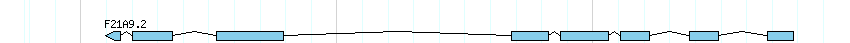 genes detail