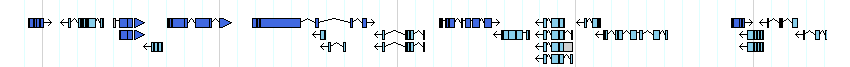 genes detail
