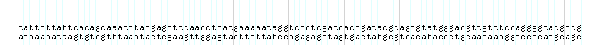 DNA/GC_Content detail