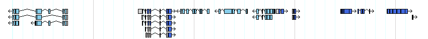genes detail