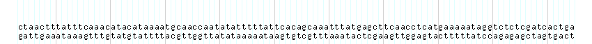 DNA/GC_Content detail