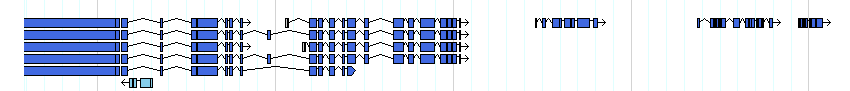 genes detail