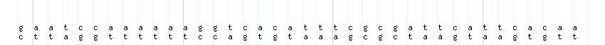 DNA/GC_Content detail