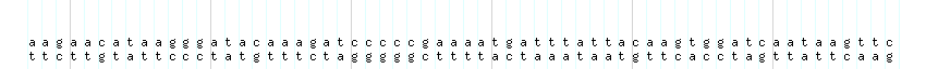 DNA/GC_Content detail