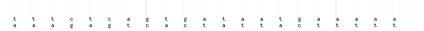 DNA/GC_Content detail