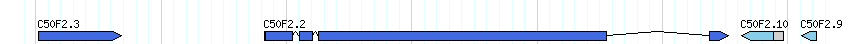 genes detail