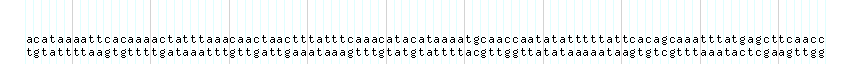 DNA/GC_Content detail