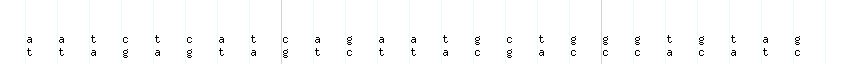 DNA/GC_Content detail