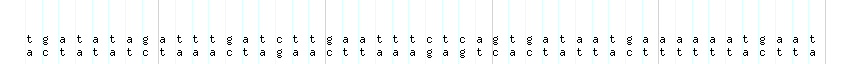 DNA/GC_Content detail