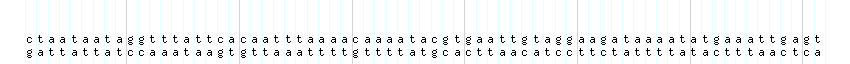 DNA/GC_Content detail