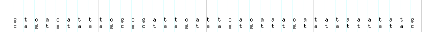 DNA/GC_Content detail