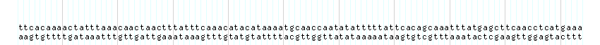 DNA/GC_Content detail