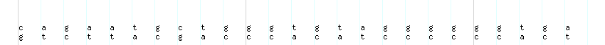 DNA/GC_Content detail