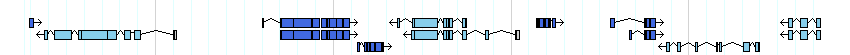 genes detail