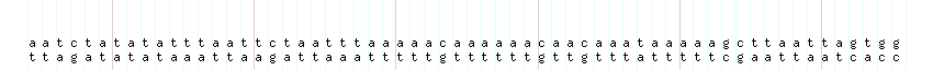 DNA/GC_Content detail