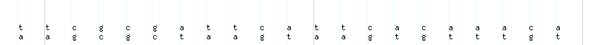 DNA/GC_Content detail