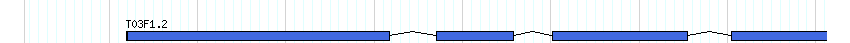 genes detail