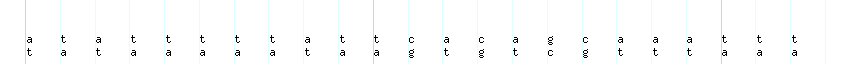 DNA/GC_Content detail