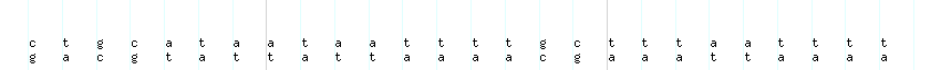 DNA/GC_Content detail