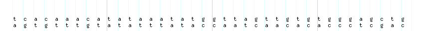 DNA/GC_Content detail