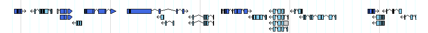 genes detail